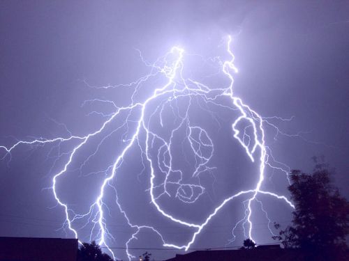 kinkshamer69:cooldudebro:  is the joke that it looks like a beaver person looking back over its shoulder and shaking its fist or is it just a photo of lightning i genuinely cant tell  it’s god’s fursona