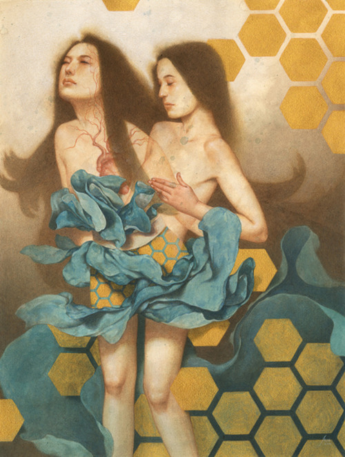 lohrien:  Illustrations by Tran Nguyen