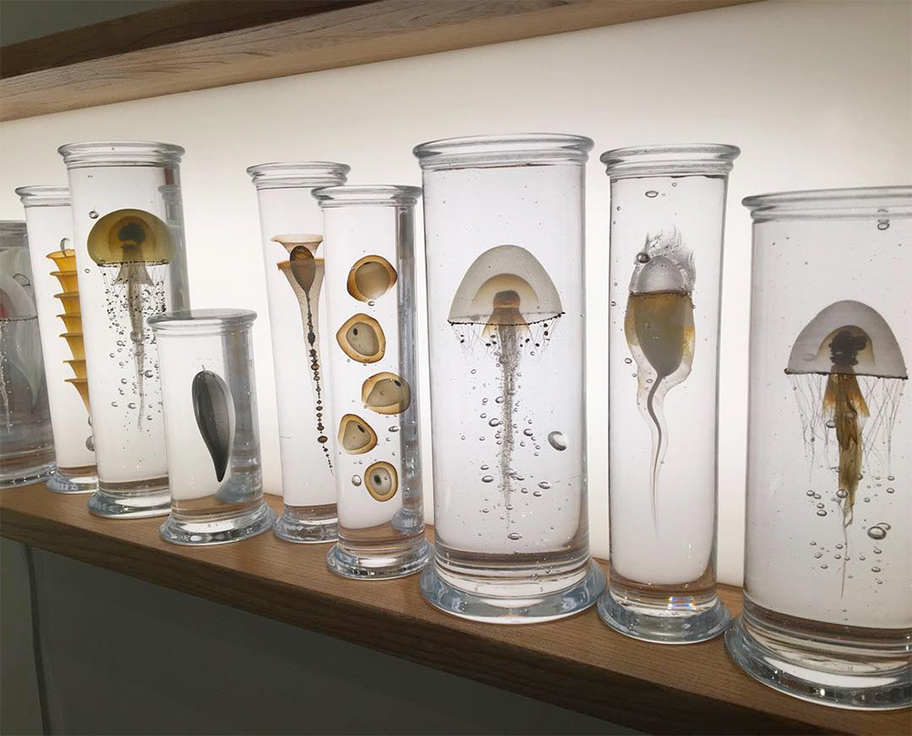 culturenlifestyle:  Stunning Marine Life Specimens Imagined in Glass by Steffen DamDanish