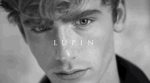 Face Cast: Tom Webb As Remus John Lupin
