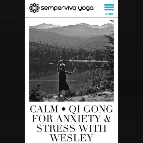 CALMA unique series of soothing & calming Qi Gong sequences designed to transform Stress & A