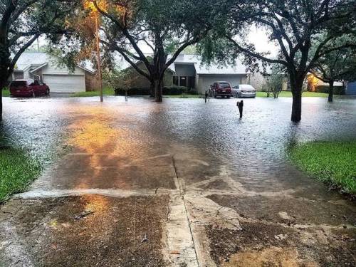 Flooding! -Tess #flooding (at Sugar Land, Texas)