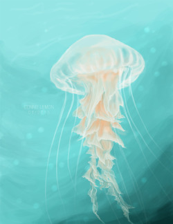 xfakefur:  My first jellyfish <3