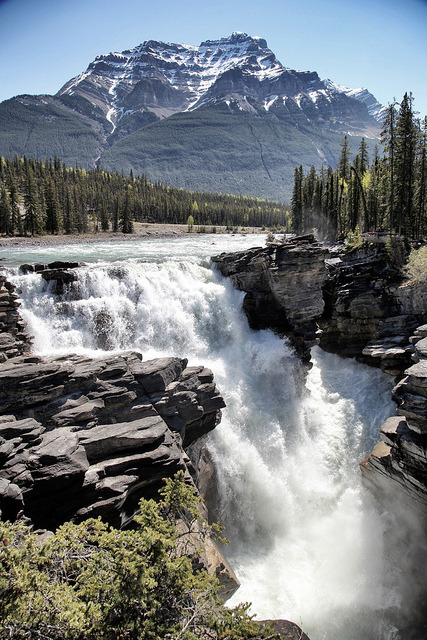Athabasca Falls in Jasper National Park, Canada (by jaime_barker).
