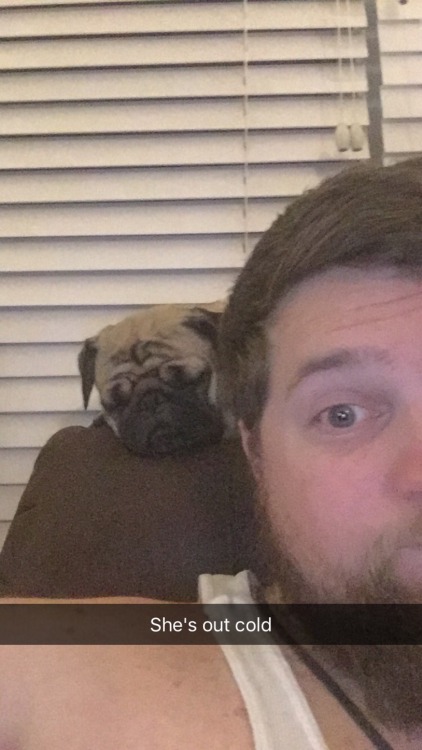 Sex Picked up my pug when I got back into town pictures