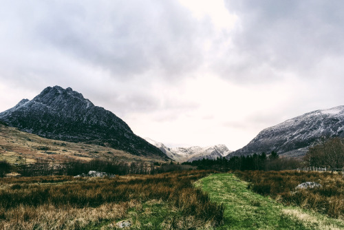 Fresh Mountain Air.https://mackie-studio.com