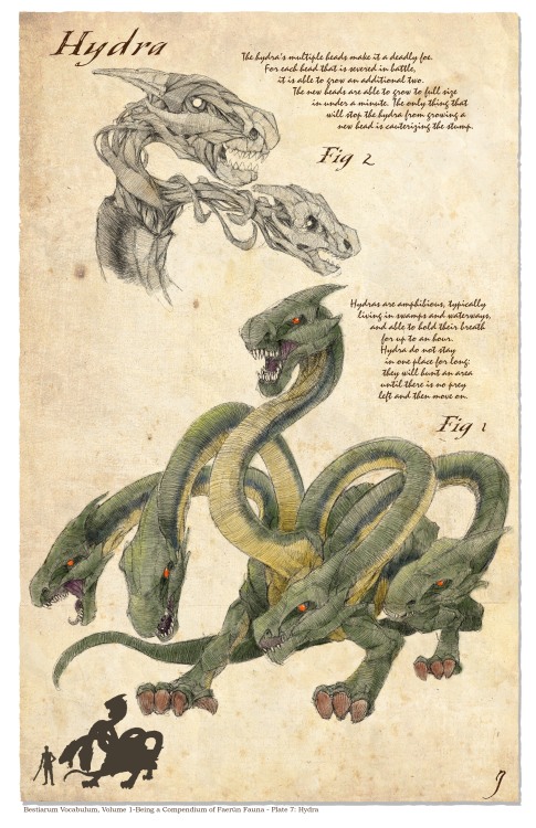 Bestiarum Vocabulum, Volume 1-Being a Compendium of Faerûn Fauna - Plate 7: Hydra► Store 