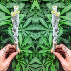 shesmokesjoints:  My first braided joint…