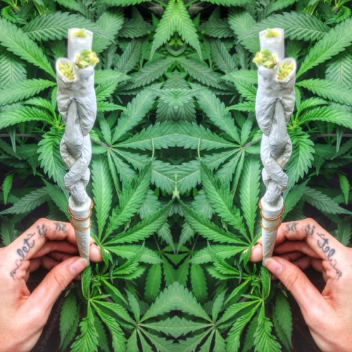 shesmokesjoints - My first braided joint… so I stuck it in a...