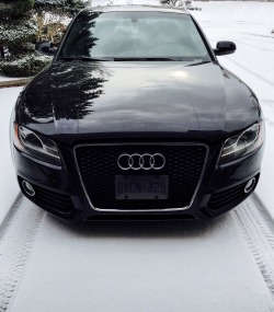 Audi Obsession