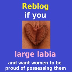 lusciouslabia:  Same sentiment, new version