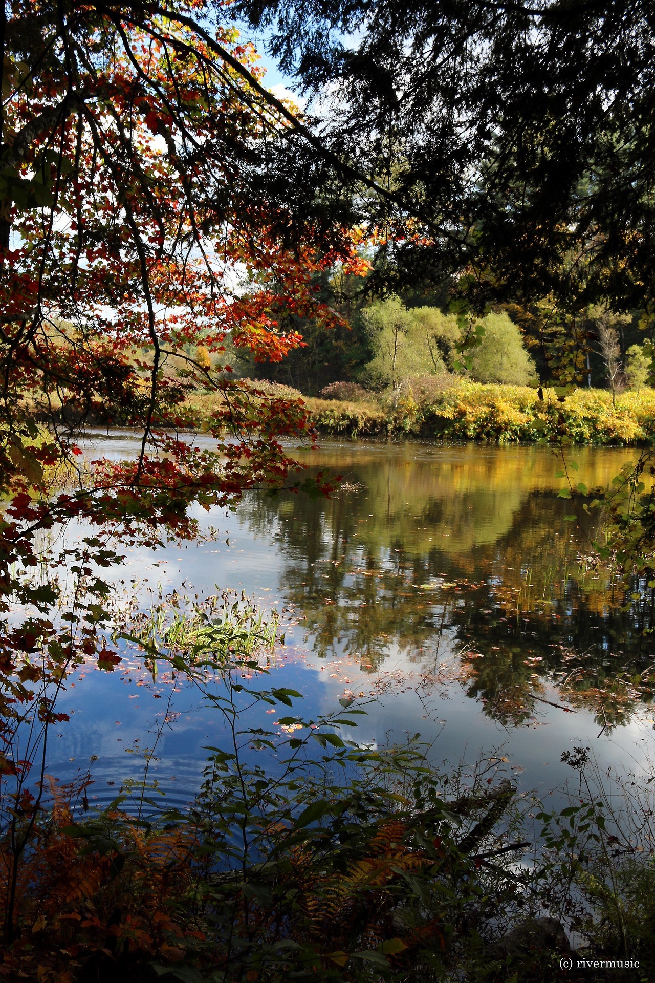riverwindphotography:  In Still Waters: The intricacies of autumn blend along the