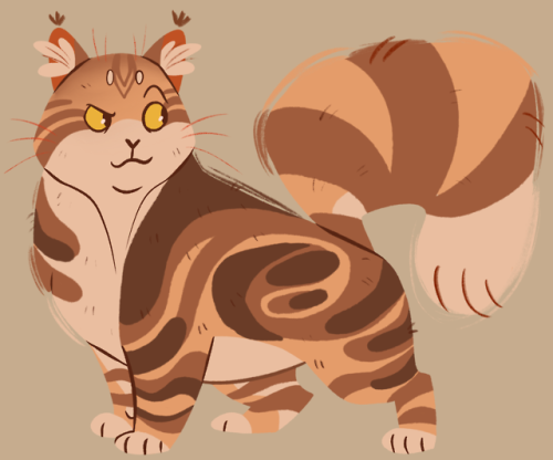 time to complete the family with Lionblaze. the least compelling of the siblings, i think, but i lik