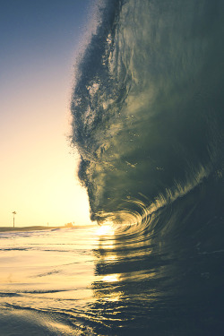 wavemotions:  Seal beach by Stan Moniz