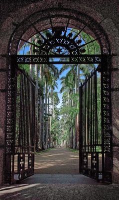crescentmoon06:  Secret Garden Botanical Garden, Rio de Janeiro, Brazil 