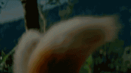 Miles 'Tails' Prower - Sonic The Hedgehog 3 Trailer - 2024