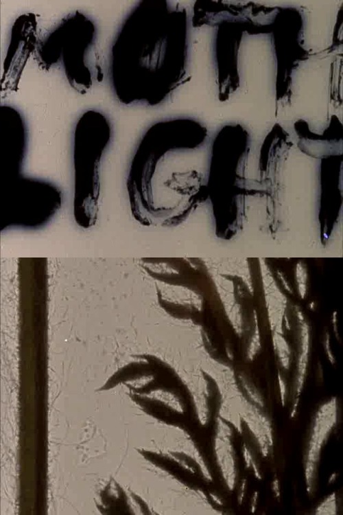 2019 Movie Diary - 39/365Moth Light | Stan Brakhage | 8/10This made me very aware of the possibility