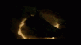 theonlythingineedistroyler:  Actual representation of the fandoms right now   