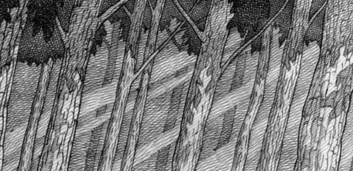 Cabin In The Woods - Eren X Reader X Jean - 18+!!!