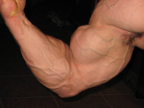 Huge Veiny Bicep Show us your Gunz! [click here]