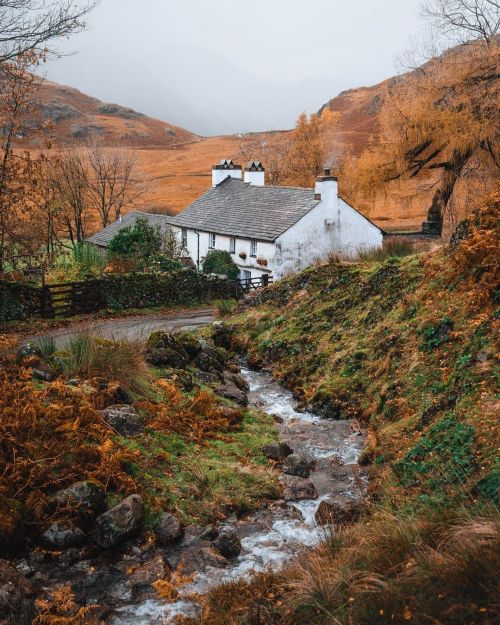 wild-cabins:  James Lloyd Cole  