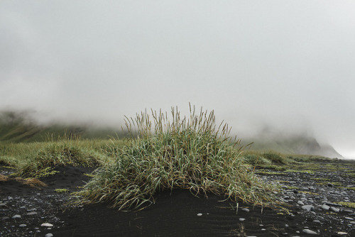 stephaniedolen:iceland