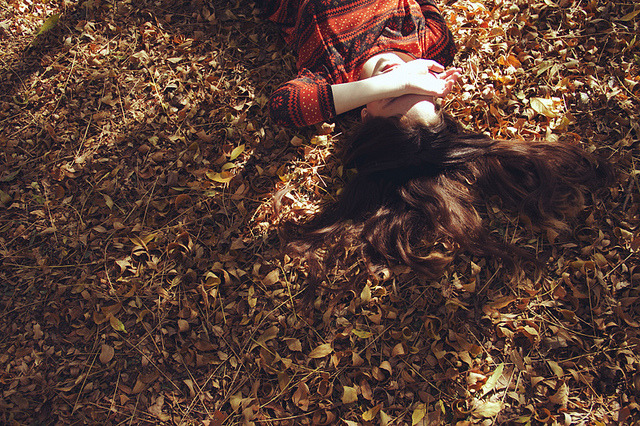 dailyautumn:
“ Last Days of Autumn by mlartigue on Flickr.
”