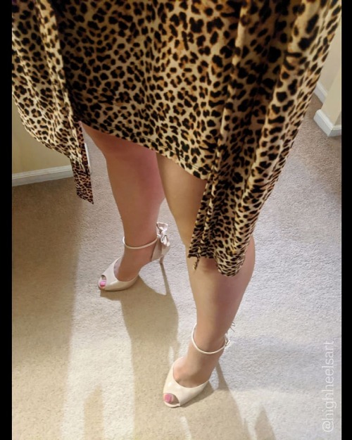 Cheetah  #cheetah #highheels #highheelsandals #bowsandals #animalprintdress #stockingsandheels #tacc