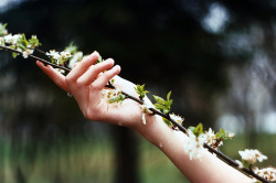 Spring Rain by Mariam Sitchinava. 