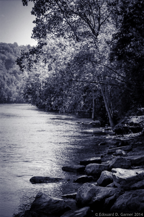 a quiet back eddy on the lower Niagara River - this spot and I have history. Come the winter, when t