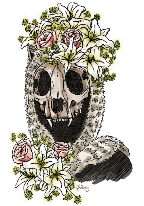 Tatucuna [Cat Skull]