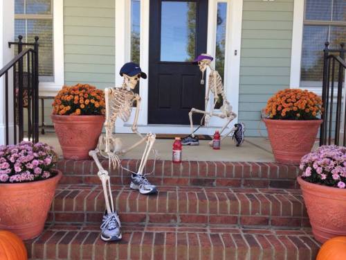 spookydeerchild: kristenraemiller:  For the month of October ‘til Halloween, my dad changes up the scene of these 2 skeletons on his front porch each day for the neighbors to check out. Very creative!  Peaceful times before the skeleton war 