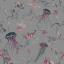 poinciana36