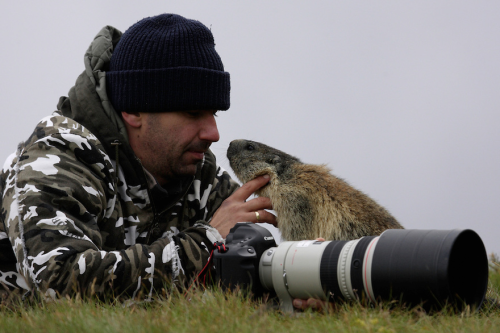 nubbsgalore: a chance encounter with a curious and friendly marmot while attempting to photograph th