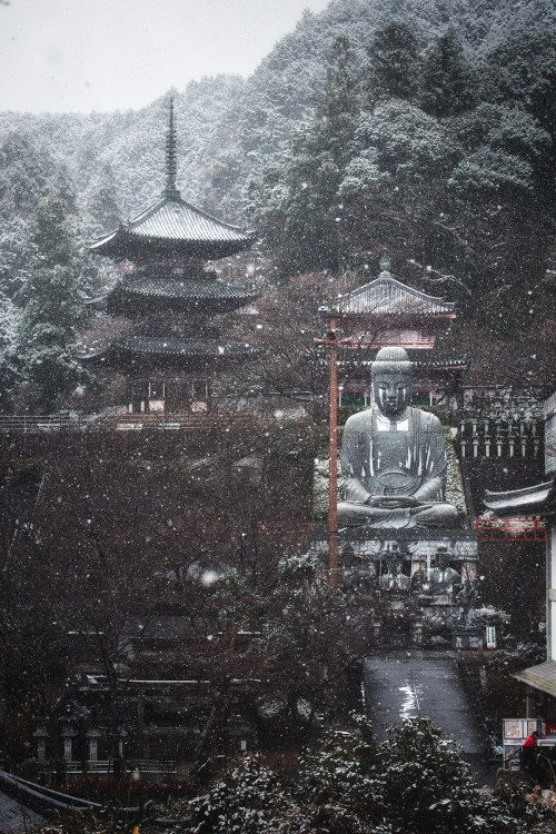 Four Seasons At Tsubosaka-Temple