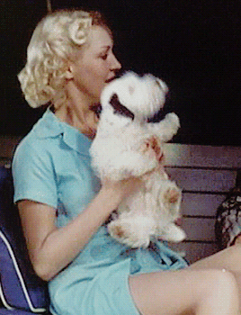 classichollywoodconstellation: Betty Grable and a hard-to-handle companion, c. 1936
