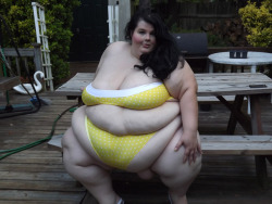 ssbbw-bbw-fatwomen:ive been working on my beach bod, cant u tell??