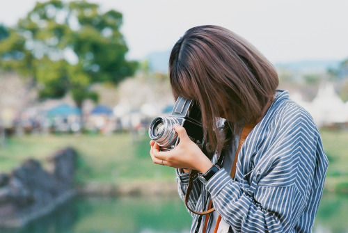 フィルム写真