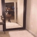 thickblr2: