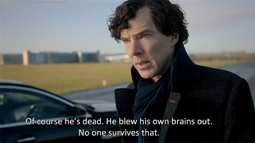seriously-cumberbatched:HAPPY HIATUS, EVERYONE!