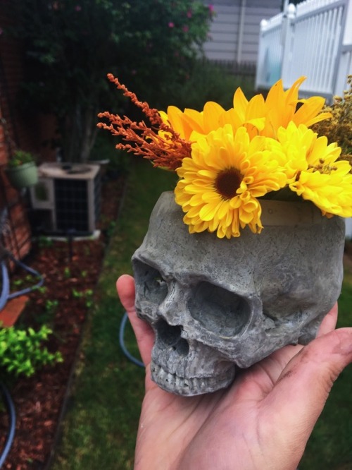 So I’ve stared up an Etsy!Made some cool cement skull planter and candle holder!! Check it out! ht