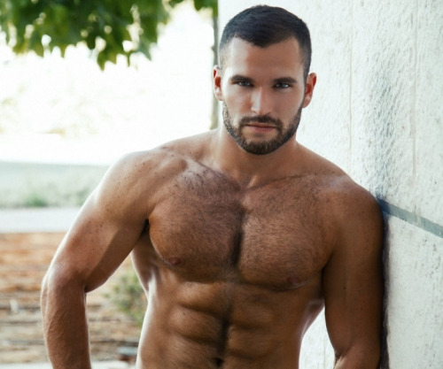 bigmalepecs:  Almog Gabay