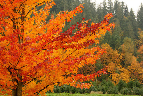 There is nothing quite like an autumn day