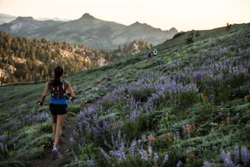 Sunrise singletrack in the Sierra Nevada during the Western States Endurance Run.Photo: Alexis Berg 