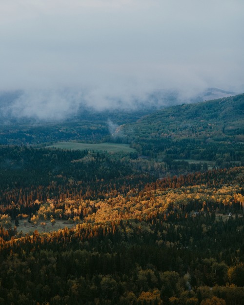 Bragg Creek, AB | allison seto