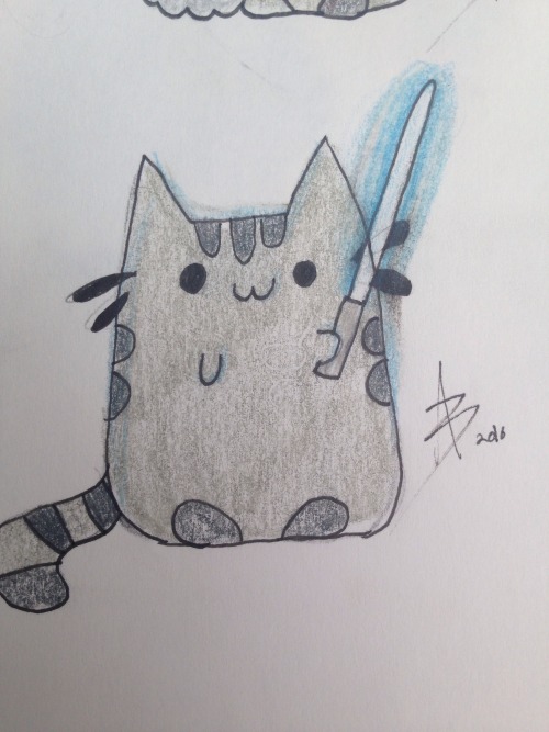 Use The Force Pusheen