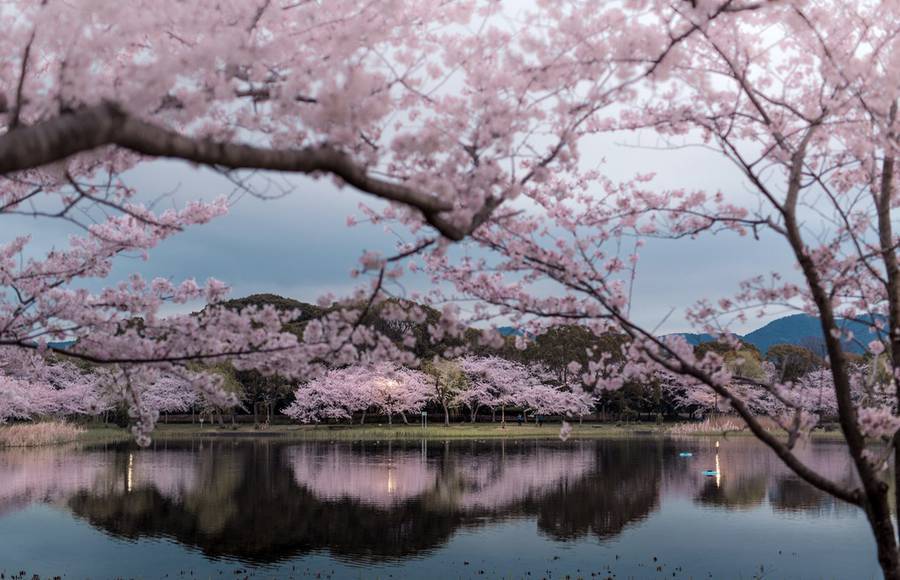 nevver:  Your moment of Zen, Hidenobu Suzuki 