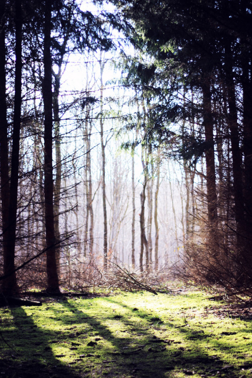 brutalgeneration:  Light (by Frederiklaustsen)