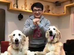 babyanimalgifs:  these pics of Jackie Chan and his dogs JJ and jones have saved my life