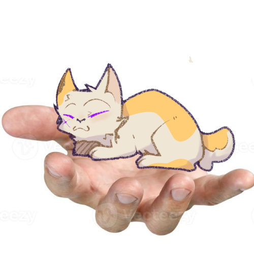 HOLD THE CAT!!!!!